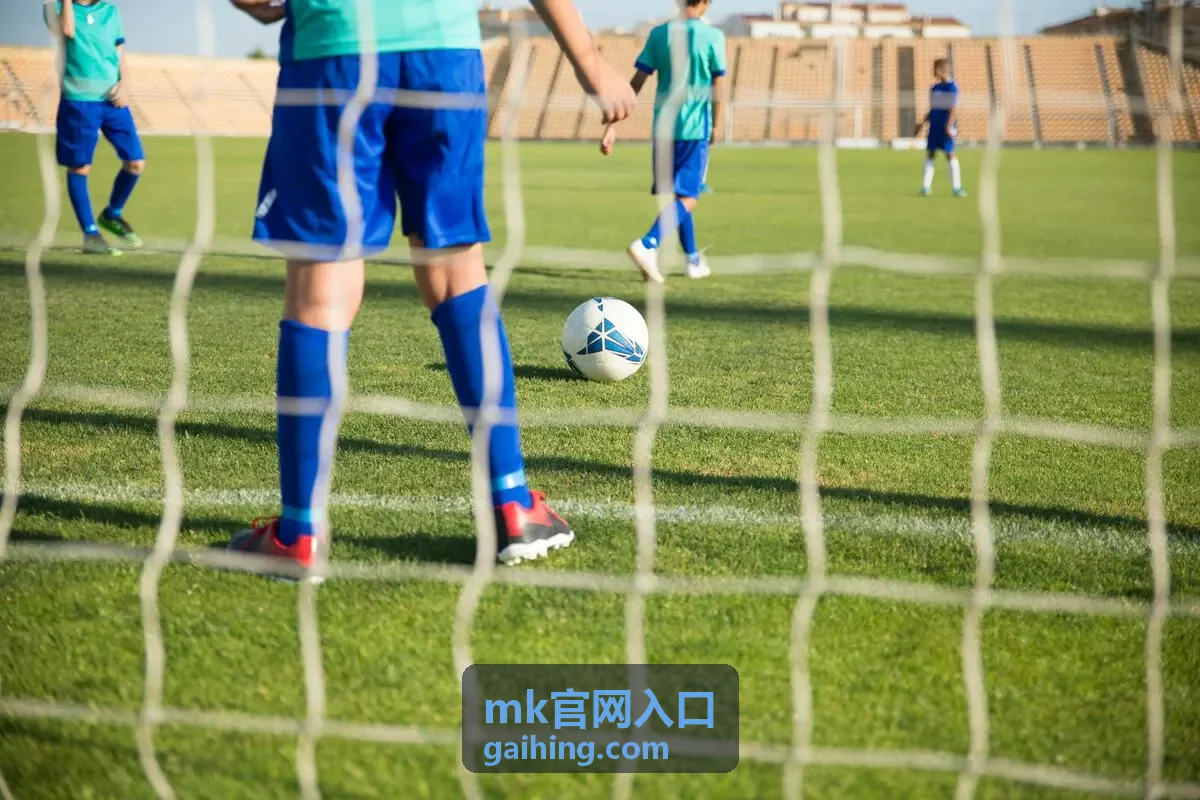mk官网入口账号登录核对示意图